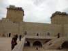 dsc02353_small.jpg