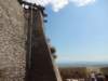 dsc02392_small.jpg