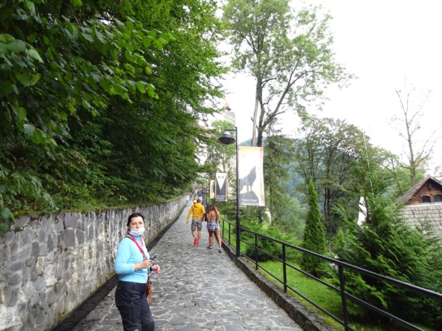 dsc02413.jpg