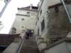 dsc02415_small.jpg