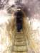 dsc02428_small.jpg