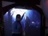 dsc02440_small.jpg