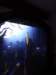 dsc02443_small.jpg