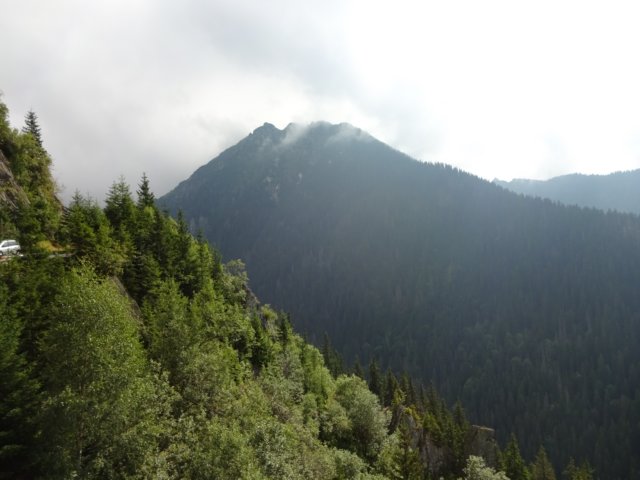 dsc02468.jpg