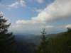 dsc02471_small.jpg