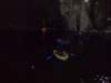 dsc02511_small.jpg